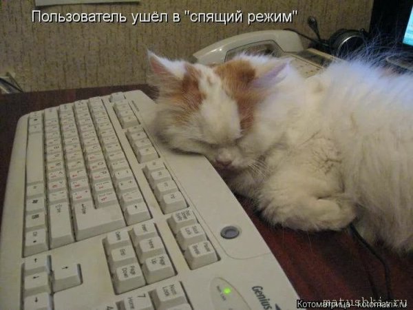 Я иду спать