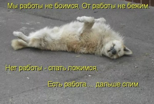 Иду на работу приколы