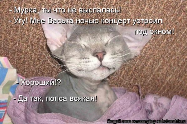 Я хорошо сплю