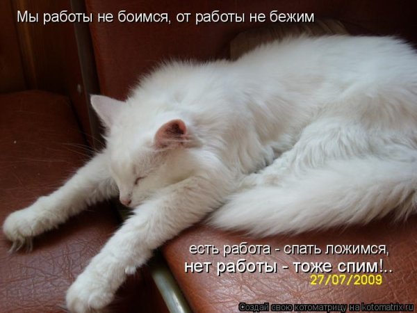 Спит на работе