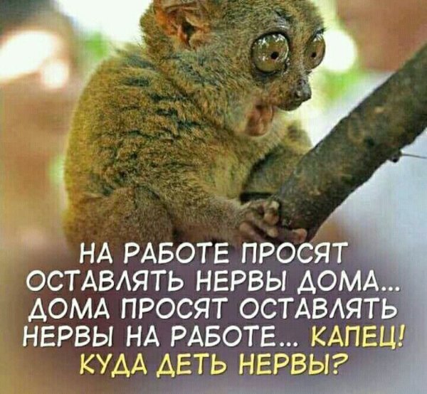 Высказывания про нервы