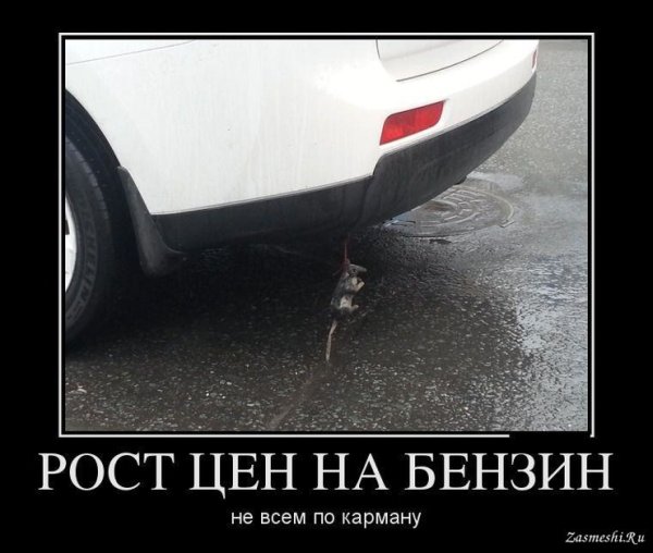 Бензин юмор