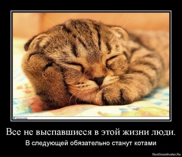 Демотиваторы с добрым утром