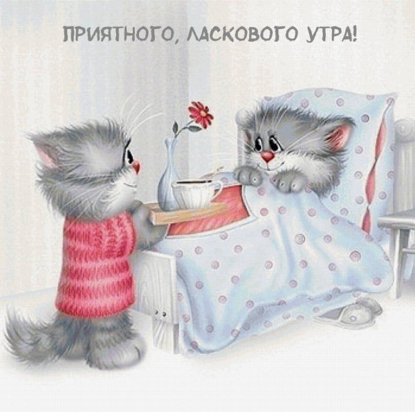 С добрым утром котенок