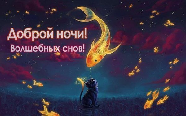 Спокойной ночи волшебных снов