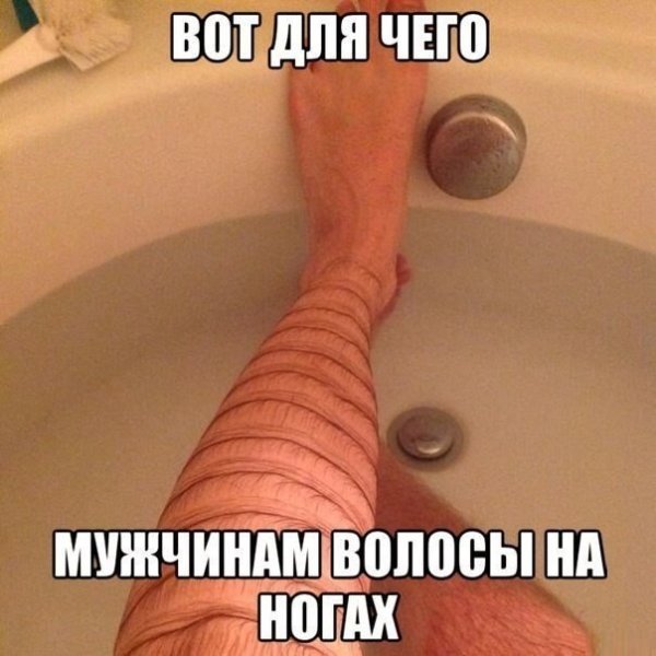Член прикол
