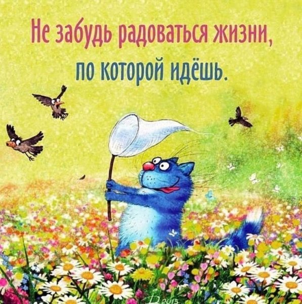 Позитивные открытки