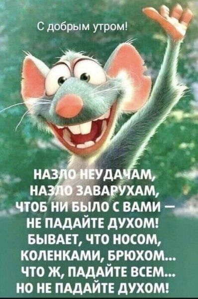 Смешные цитаты