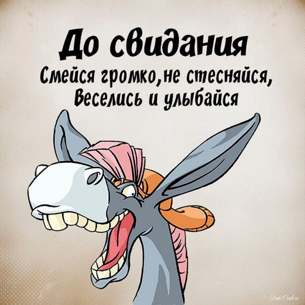 Смешные поздравления с добрым утром