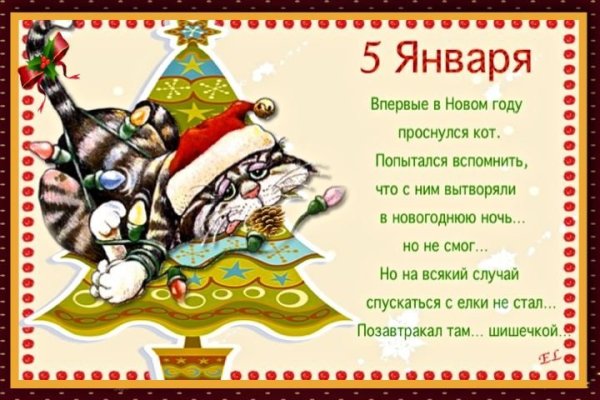 Пятый день нового года прикольные