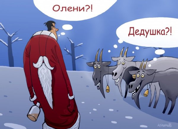 Приколы первого января