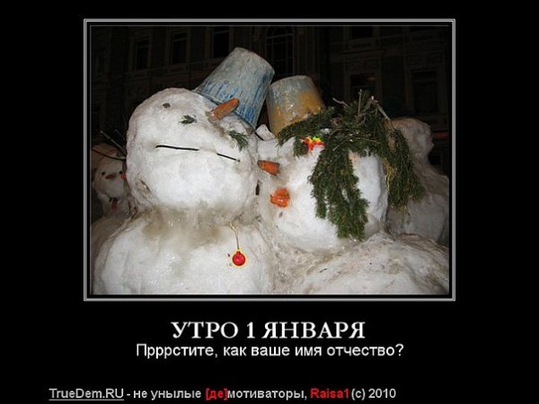 Приколы первого января