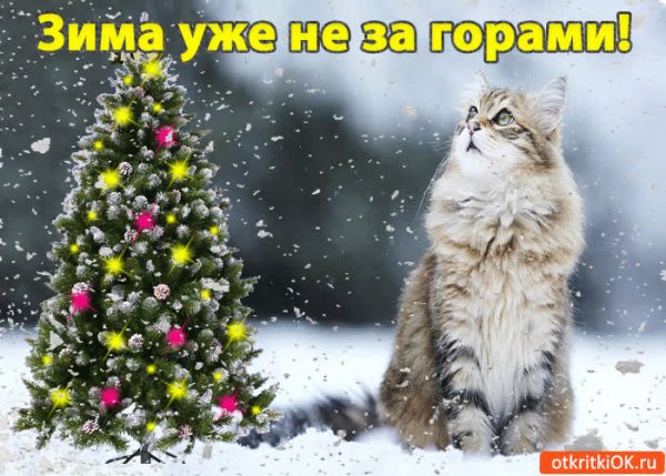 Зима пришла