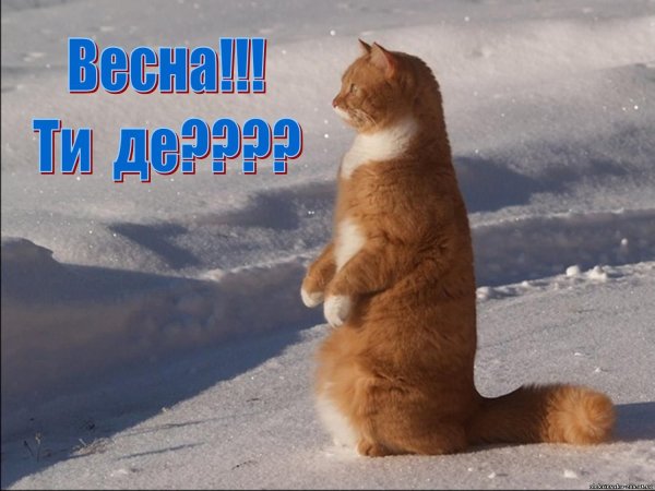Жду весну