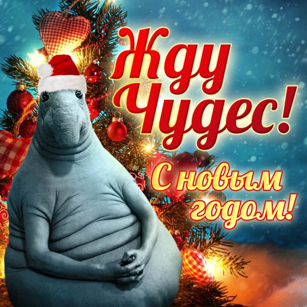 Новогодние приколы