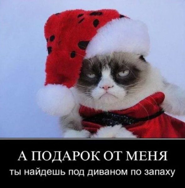 Новый год юмор