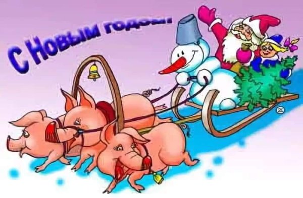 Сани запряженные свиньями