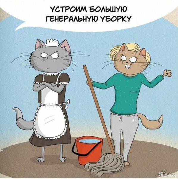 Смешная уборка