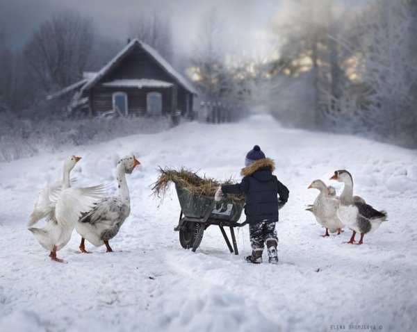 Зима в деревне