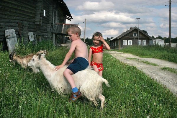 Лето в деревне