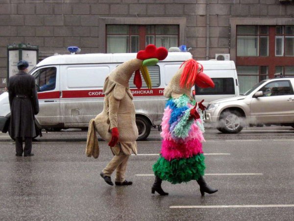 Веселые картинки