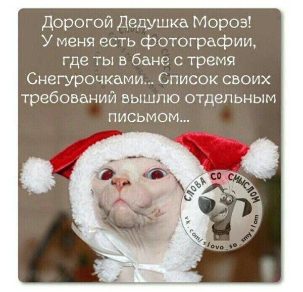 Новый год смешные