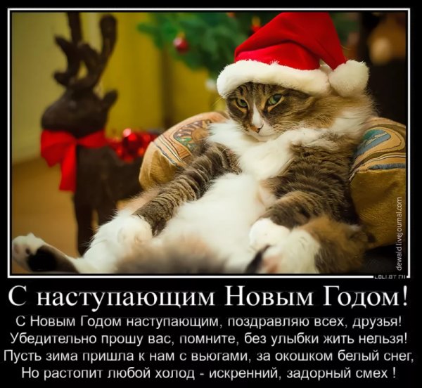 Прикольные новогодние картинки