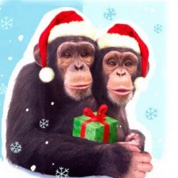 Новогодние с обезьянкой