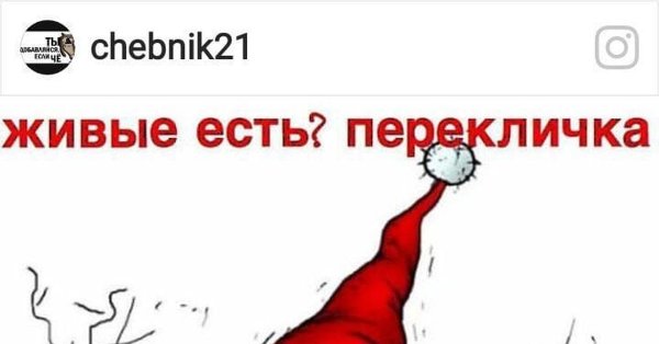 Выжившие после нового года