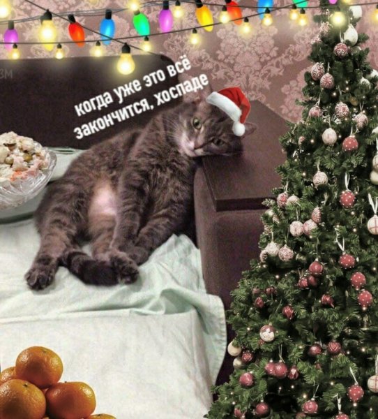 Новогодние хлопоты