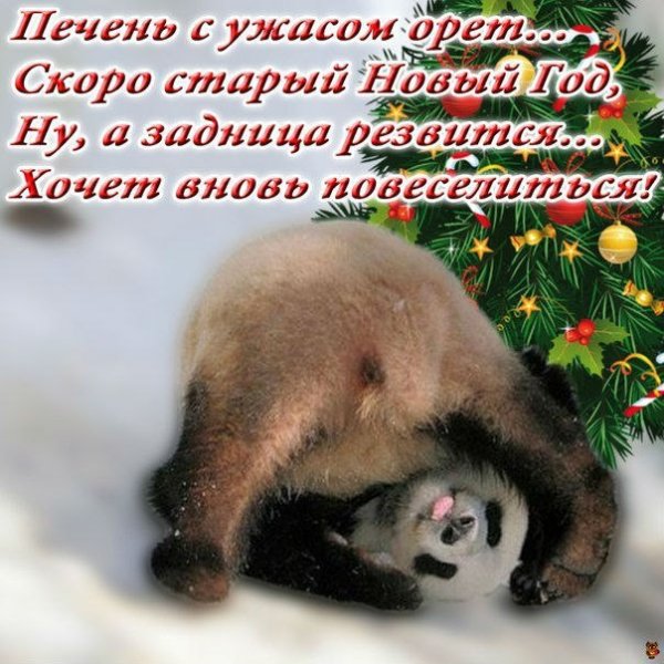 Со старым новым годом прикольные