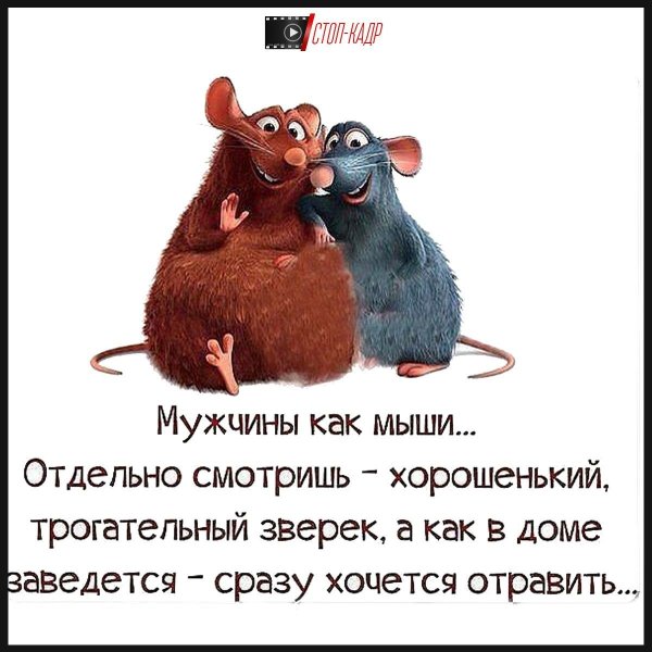 Смешные цитаты