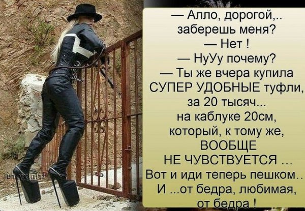 Шутки смешные высказывания
