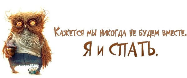 Сова хочет спать