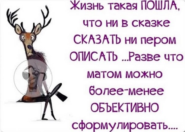 Смешные статусы со смыслом