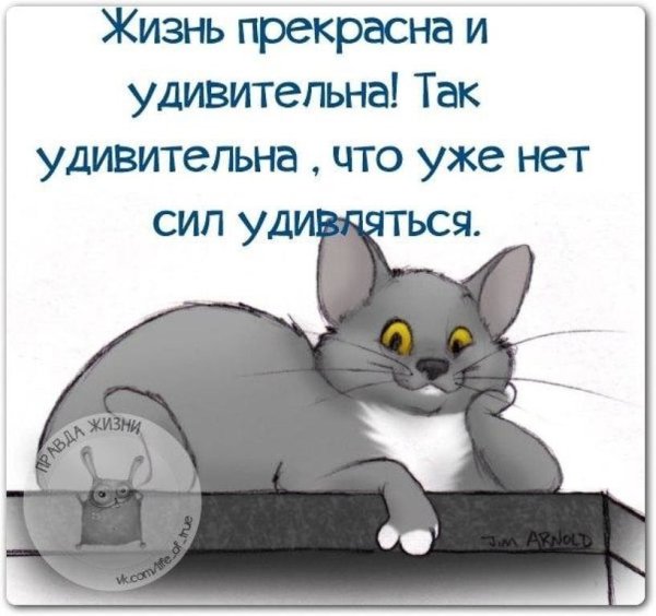 Афоризмы про жизнь смешные