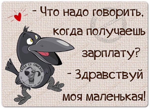 Умные фразы в картинках с юмором