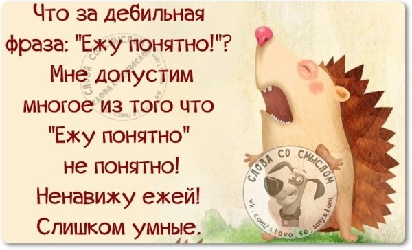 Веселые цитаты
