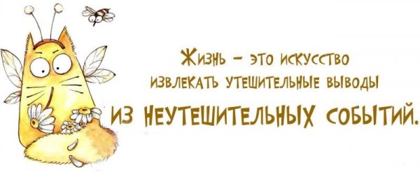 Веселые цитаты