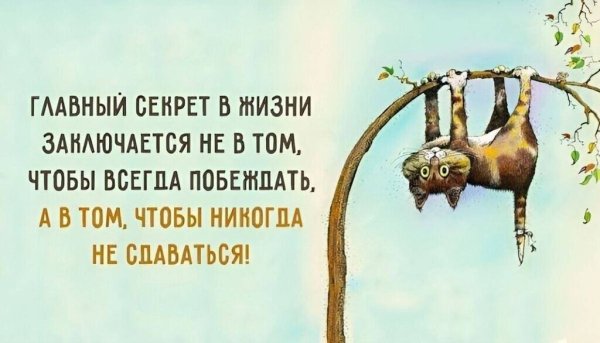 Позитивные афоризмы