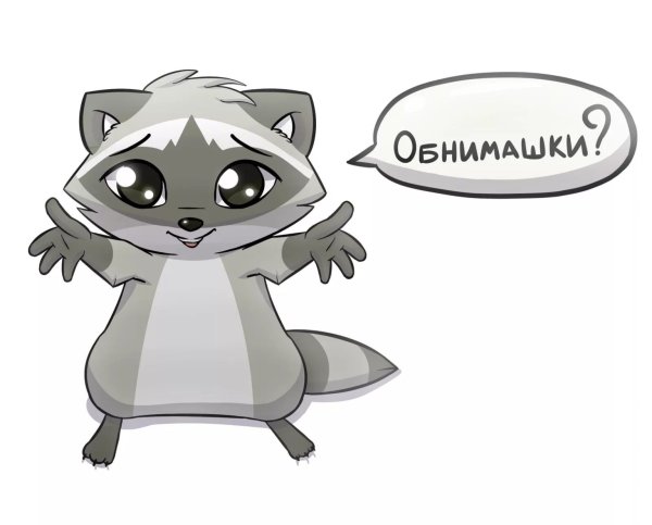 Стикеры енот