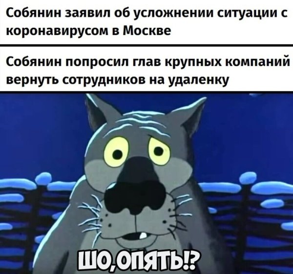 Коронавирус прикольные