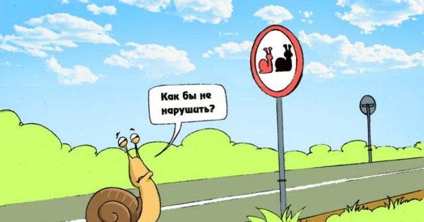 Карикатуры ПДД