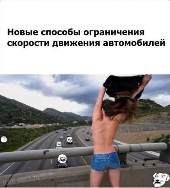 Шутки про превышение скорости