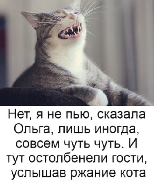 Анекдот про Олю смешной