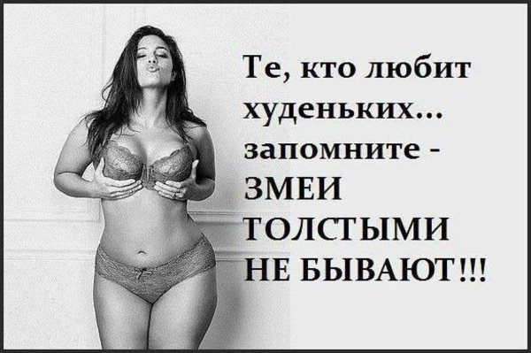 Цитаты про пышных девушек