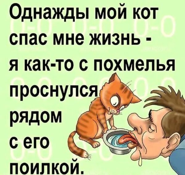 Открытки с похмелья прикольные мужчине