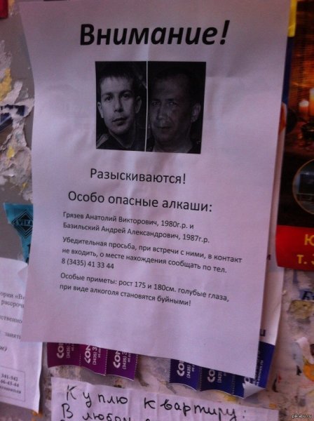 Розыск прикол