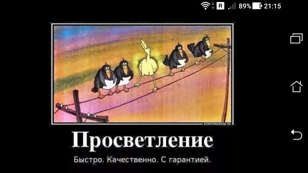 Шутки про просветление