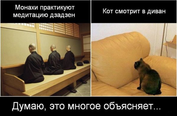 Мемы про медитацию